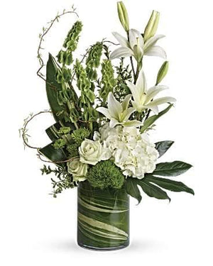 Botanical Beauty Modern Flowers with Blooms Of Paradise
