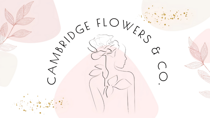 Cambridge Flowers & Co.