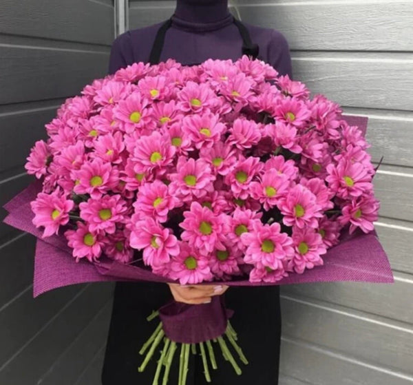 Luxurious Pink Daisy Bouquet - Blooms of Paradise Cambridge