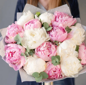 Peony Perfection – 15 Stem Bouquet - Blooms of Paradise Cambridge