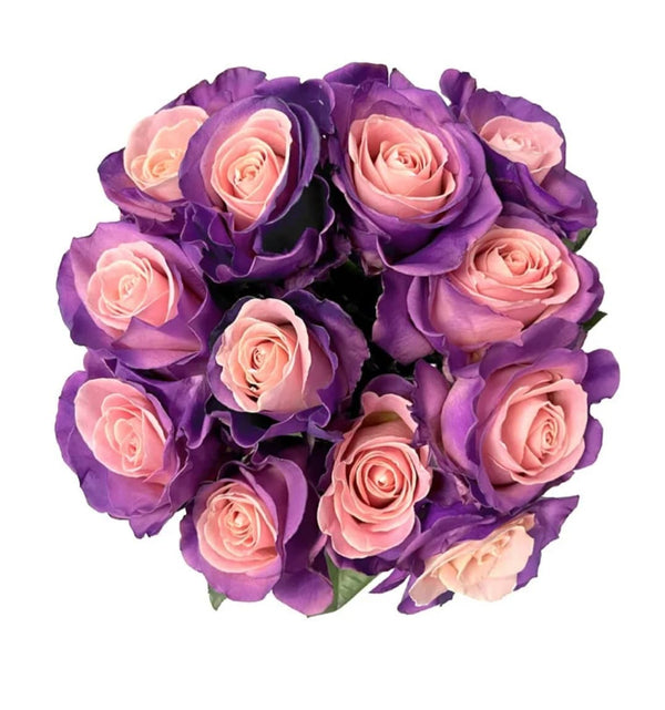 Blushing Lavender Roses - Blooms of Paradise
