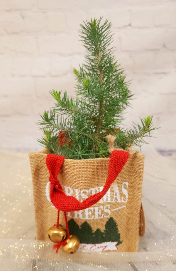 Christmas tree bag - Blooms of Paradise