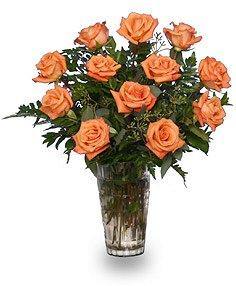 Dozen Orange Roses - Blooms of Paradise