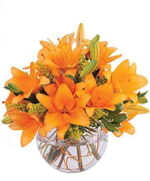 Fall in Love with Lily - Blooms of Paradise