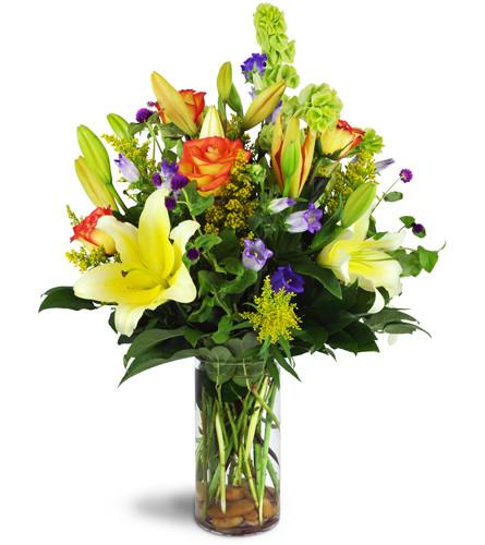 Garden Splendor Flowers for any occasion featuring Blooms of Paradise