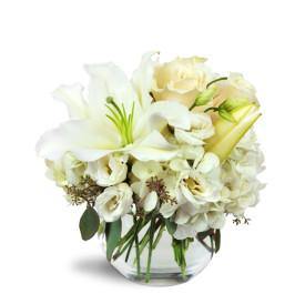 Halcyon Heart vase arrangement with Blooms of Paradise for same day flower delivery