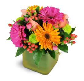 Hearty Hurrah Get Well Flowers arrangement from Blooms Of Paradise
