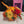 Load image into Gallery viewer, Hello Pumpkin Bouquet - Blooms of Paradise Cambridge
