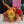 Load image into Gallery viewer, Hello Pumpkin Bouquet - Blooms of Paradise Cambridge
