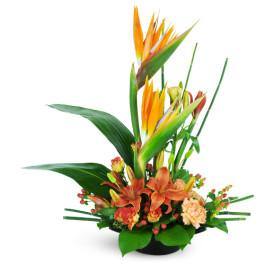High-Rise Prize tropical flowers arrangement for any occasion delivery