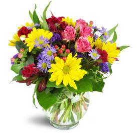 Joyful Thanks Blooms for any occasion featuring Blooms of Paradise