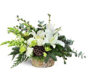 Modern Holiday Christmas Flowers with Blooms Of Paradise