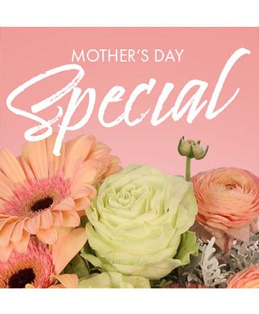 Mother's Day Special - Blooms of Paradise