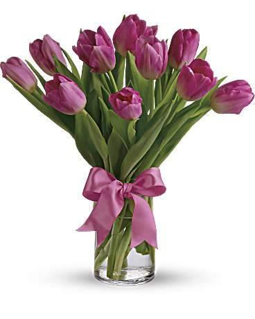 Precious Pink Tulips - Blooms of Paradise